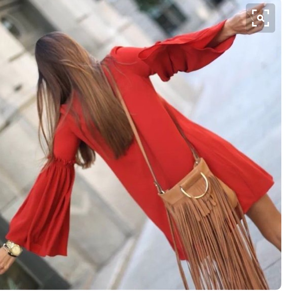 Zara dress